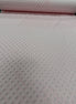 Minky Dots Lt Pink SMD7581 58/60"