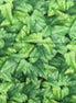 Tina's Garden digital Packed Leaves Green