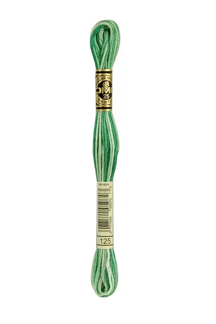 DMC Embroidery Floss 8.7yd #125 VARI SEAFOAM GREEN