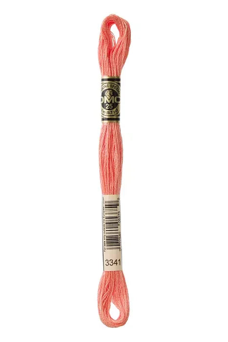 DMC Embroidery Floss 8.7yd #3341 APRICOT