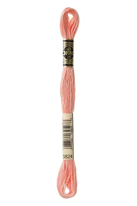 DMC Embroidery Floss 8.7yd #3824 LIGHT APRICOT