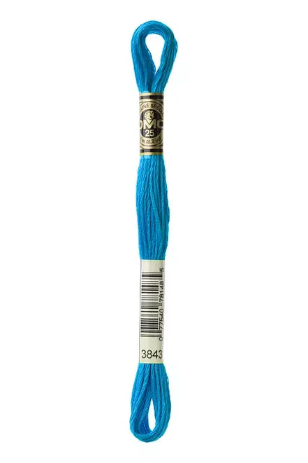DMC Embroidery Floss 8.7yd #3843 ELECTRIC BLUE