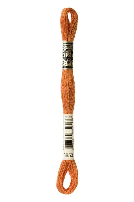 DMC Embroidery Floss 8.7yd #3853 DARK AUTUMN GOLD
