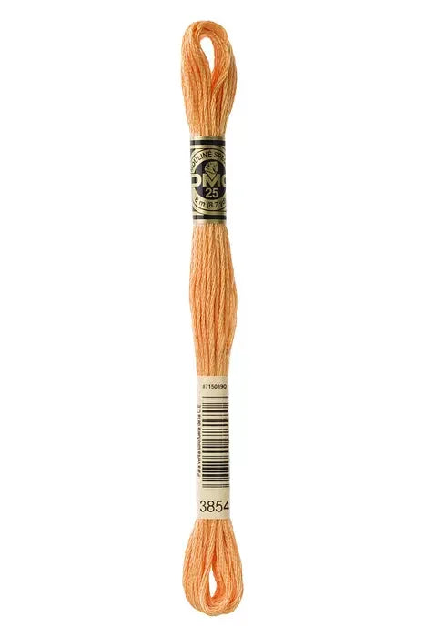 DMC Embroidery Floss 8.7yd #3854 MEDIUM AUTUMN GOLD