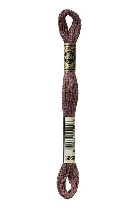 DMC Embroidery Floss 8.7yd #3860 COCOA