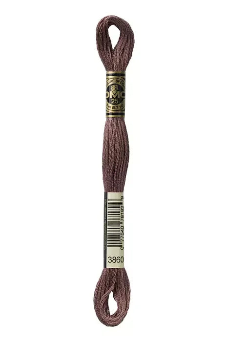 DMC Embroidery Floss 8.7yd #3860 COCOA