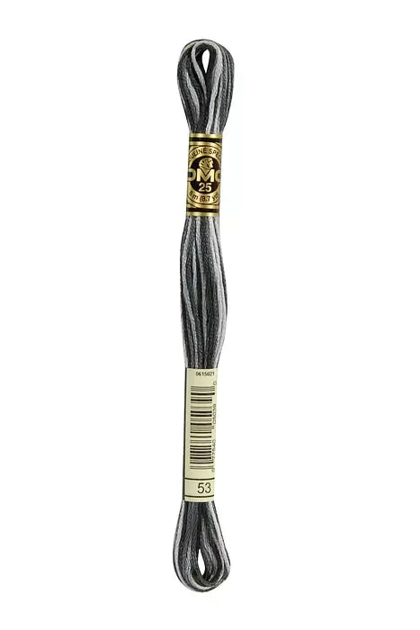 DMC Embroidery Floss 8.7yd #53 VARI STEEL GRAY