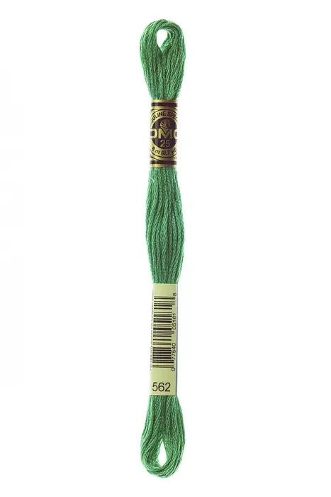 DMC Embroidery Floss 8.7yd #562 MEDIUM JADE