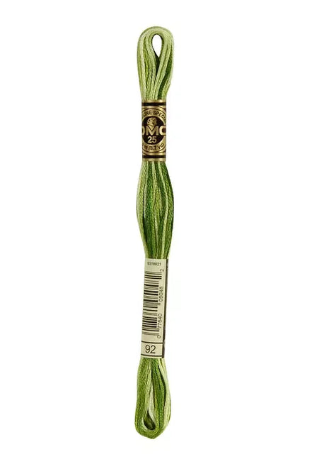 DMC Embroidery Floss 8.7yd #92 VARI AVOCADO