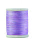 King Tut Waterlily - 1067