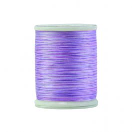 King Tut Waterlily - 1067