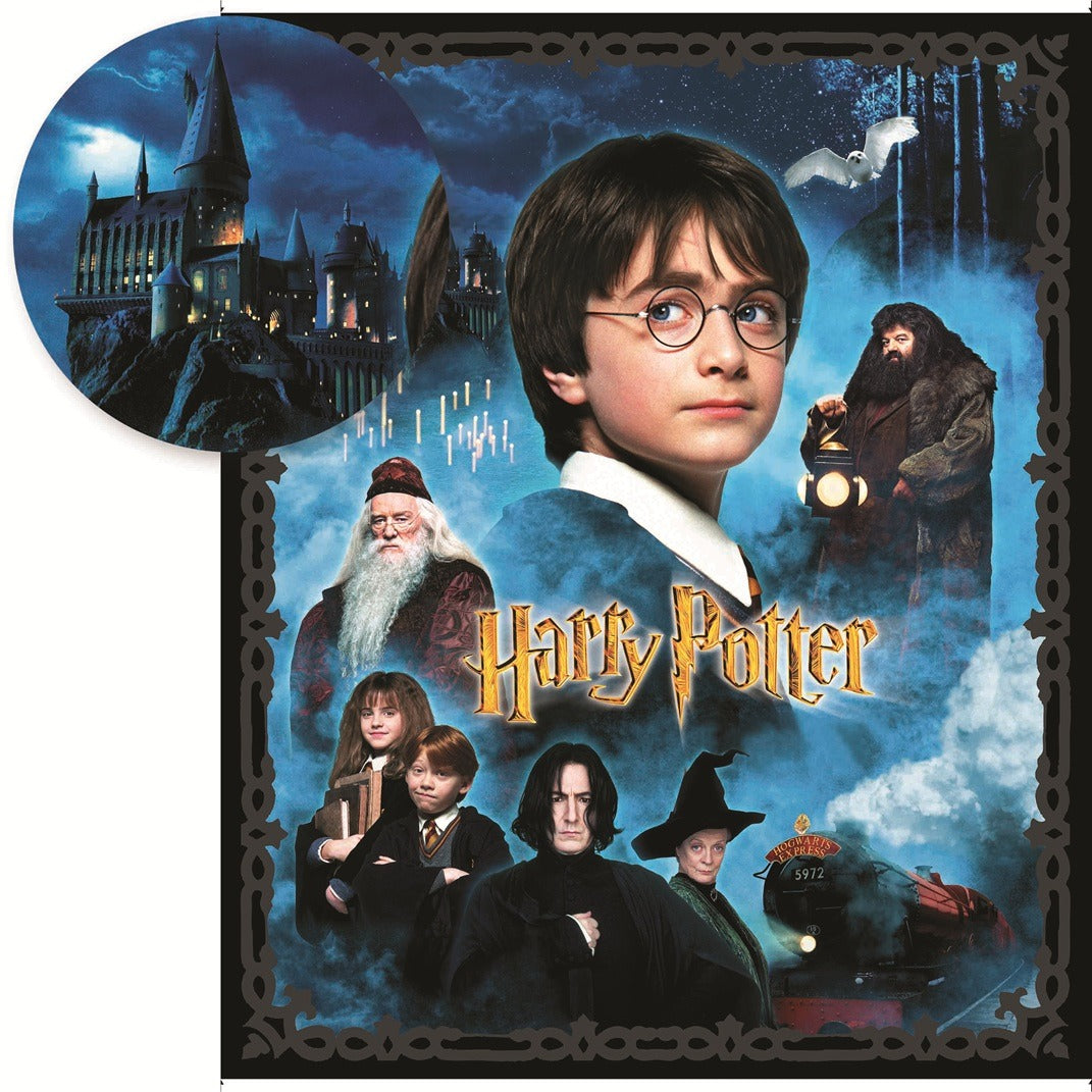 Harry Potter Panel Multi