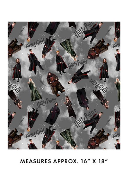 Harry Potter Characters Gray