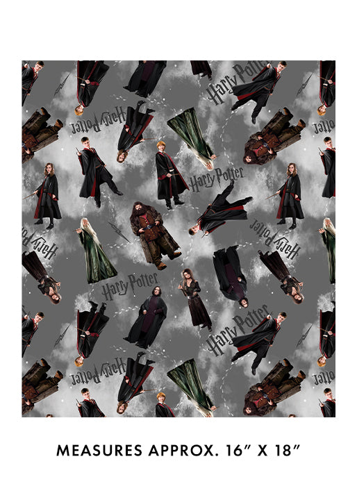 Harry Potter Characters Gray
