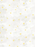 Soft Spoken Sunshine Four Petal Flower