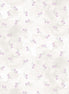 Soft Spoken Lilac
