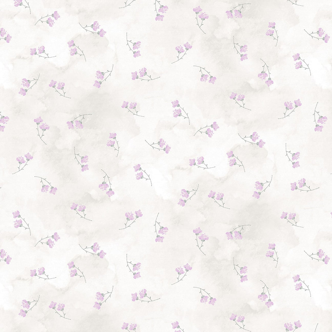 Soft Spoken Lilac
