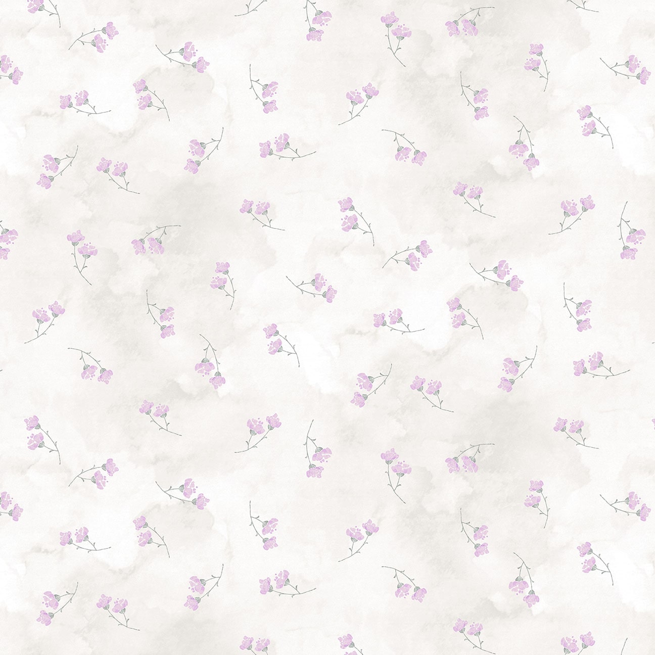 Soft Spoken Lilac