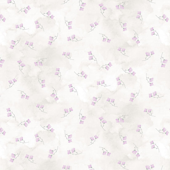 Soft Spoken Lilac
