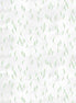 Soft Spoken Eucalyptus Eucalyptus Leaves