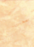 Hoffman 1895-137 Pearl