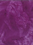 Hoffman 1895-14-Purple