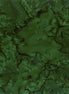 Hoffman 1895-141-Pine