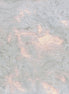 Hoffman 1895-176-Ice