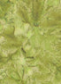 Hoffman 1895-178-Leaf