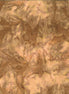 Hoffman 1895-179 Toast