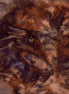 Hoffman 1895-180 Walnut