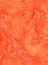 Hoffman 1895-192-Pumpkin