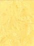 Hoffman 1895-199-Blond-Ale