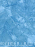 Hoffman 1895-203 H2O