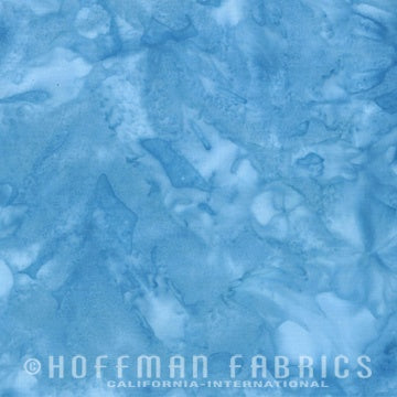 Hoffman 1895-203 H2O