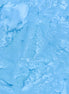 Hoffman 1895-301-Bluebird