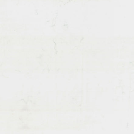 Hoffman 1895-307-Snow