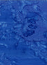 Hoffman 1895-324-Dragonfly