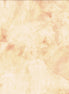 Hoffman 1895-401 Tortilla