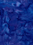 Hoffman 1895-424 Salvia