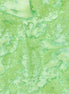 Hoffman 1895-498-Monstera