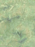 Hoffman 1895-548 Balsam
