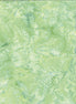 Hoffman 1895-600 St-Paddy