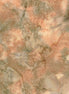Hoffman 1895-64 Tan
