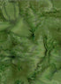 Hoffman 1895-69 Jungle
