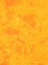 Hoffman 1895-149 Sun