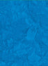 Hoffman 1895-692-Ocean Aquatic