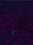 Hoffman 1895-711-Deep Fuchsia