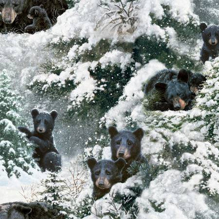 Under the Moonlight Hibernation Time Multi