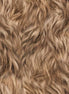 Legendary Loner Hairy Situation Bigfoot